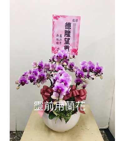 B粉喪靈前