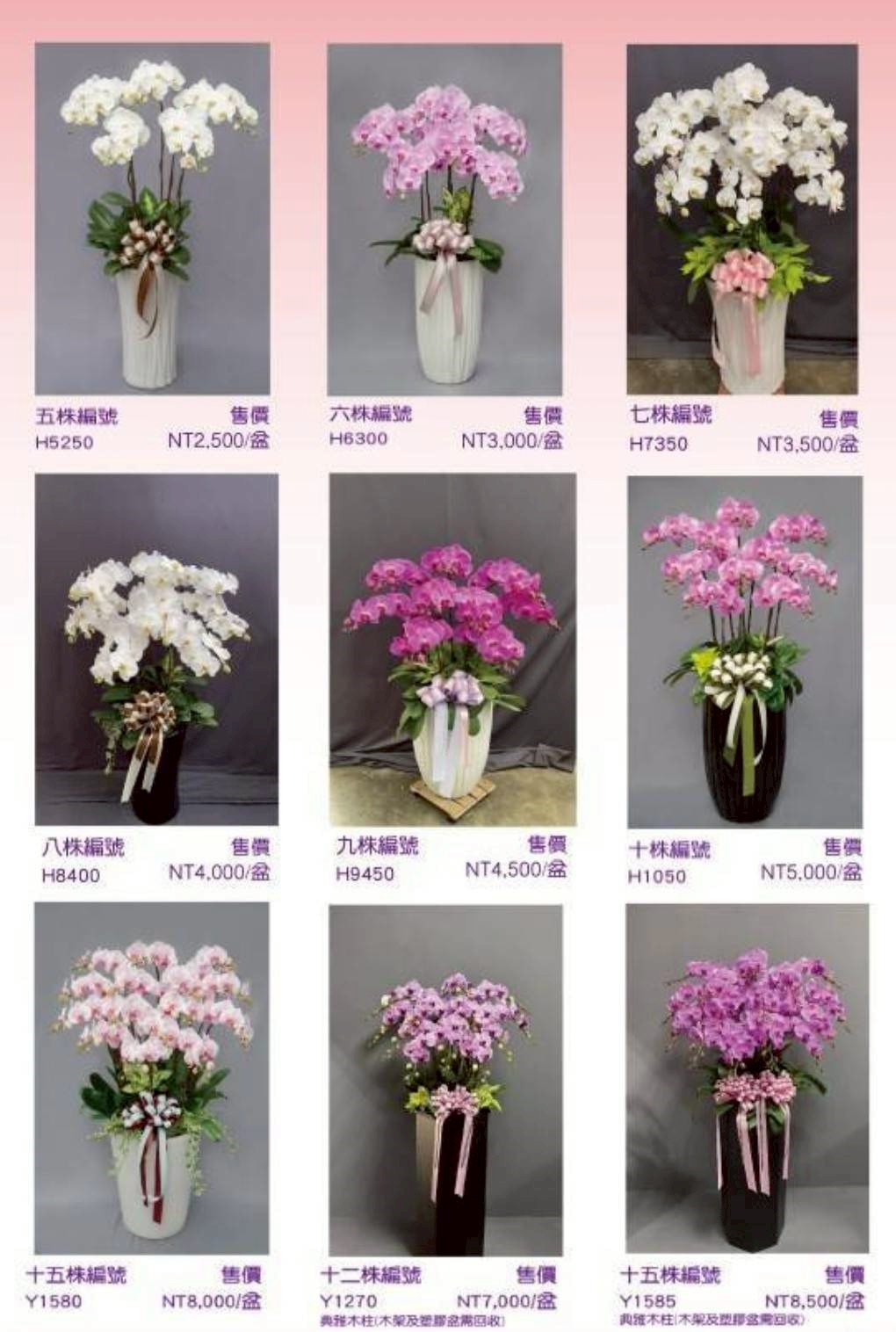 蘭花目錄