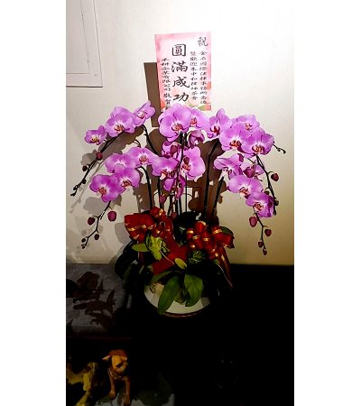 C粉喜
