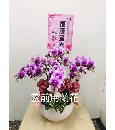 B粉喪靈前