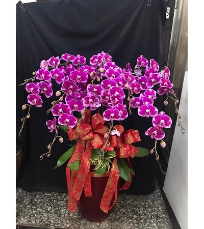 F粉紅喜