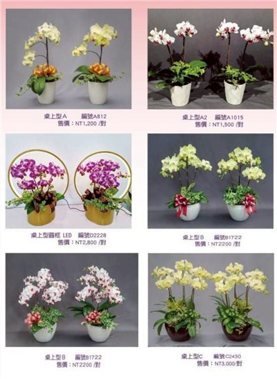 蘭花目錄